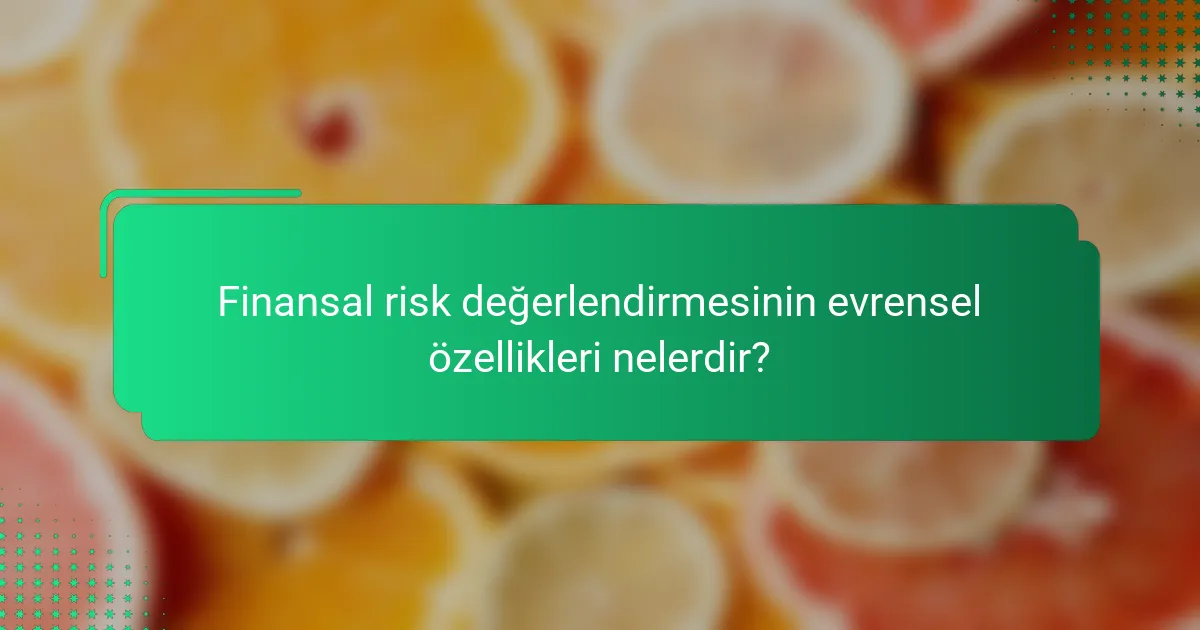 Finansal risk değerlendirmesinin evrensel özellikleri nelerdir?