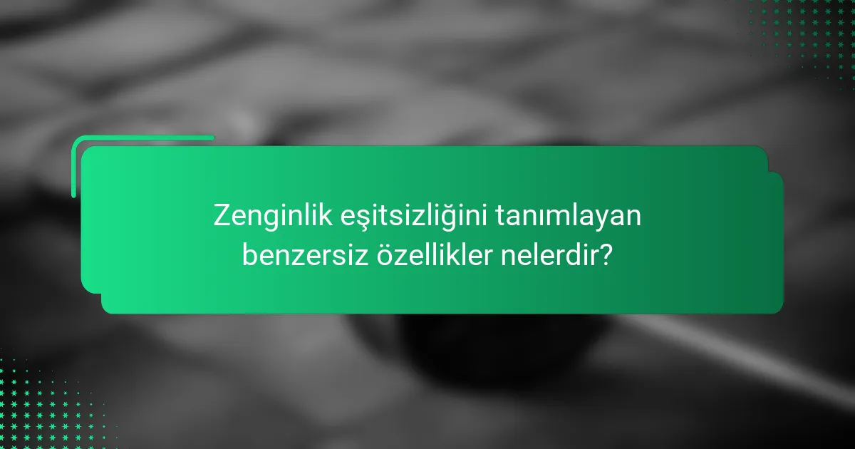 Zenginlik eşitsizliğini tanımlayan benzersiz özellikler nelerdir?